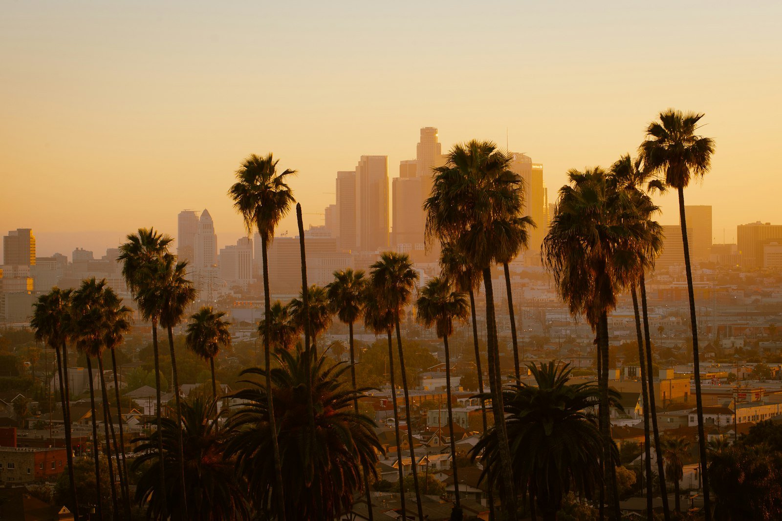 Leveling Up in LA: 3 Luxury Hotels, 3 Nights, and How My Cards Made It Worth It